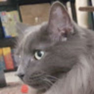 Meet your Posher, Wil